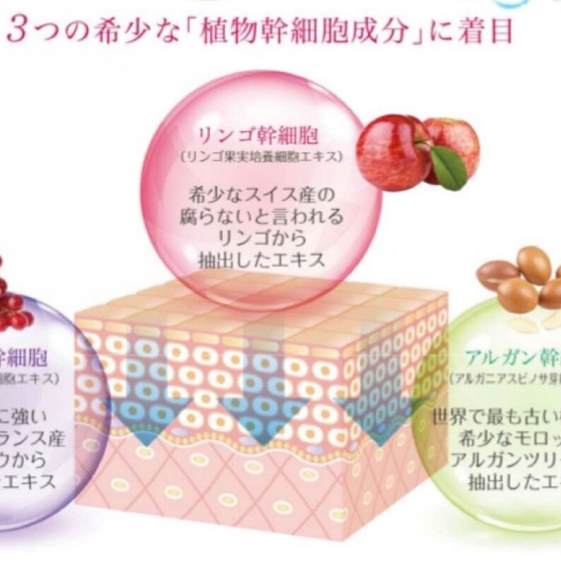 REVI③